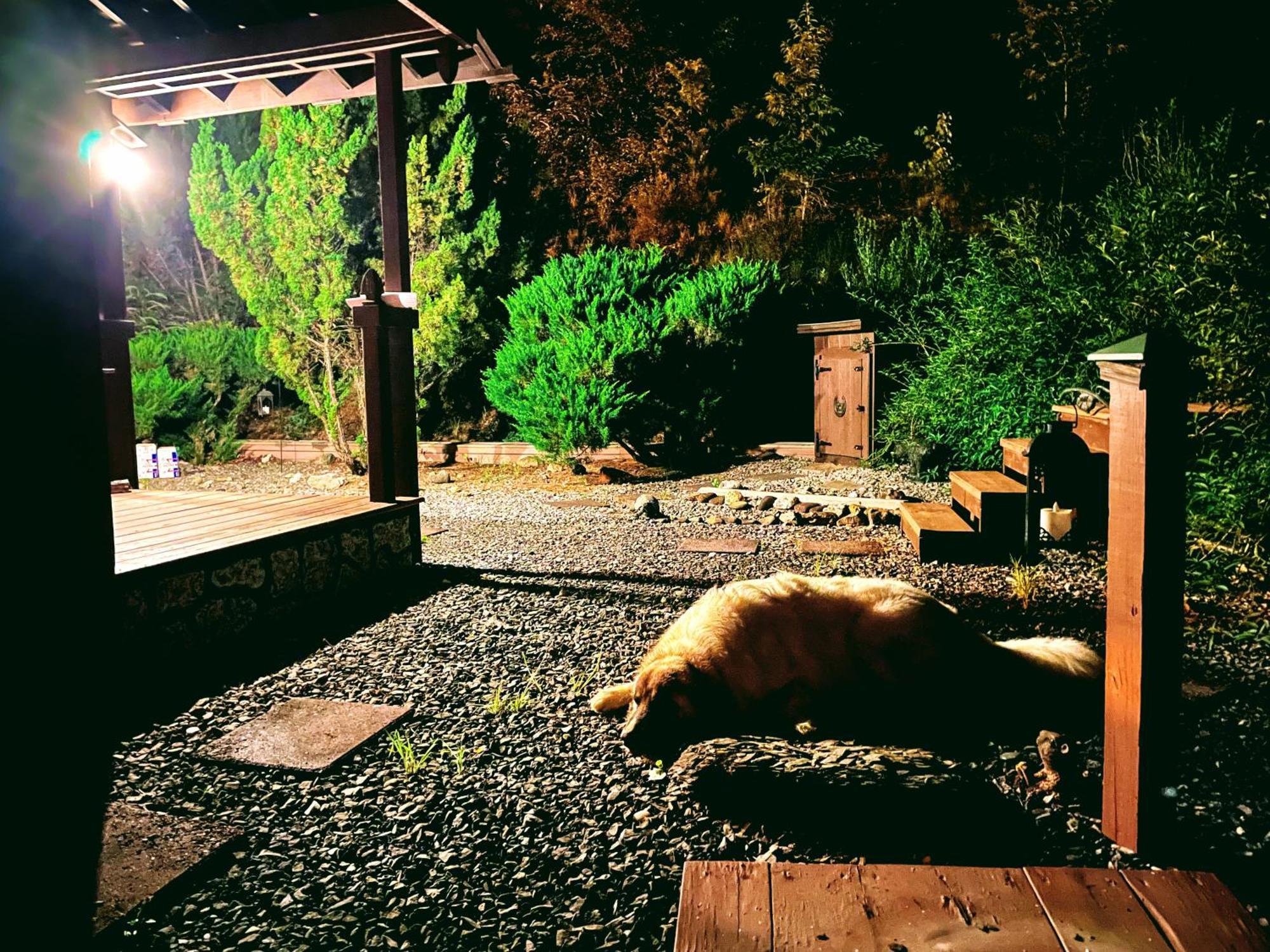 Tiny House, Wifi,Hot Tub,Secluded Villa Cosby Dış mekan fotoğraf