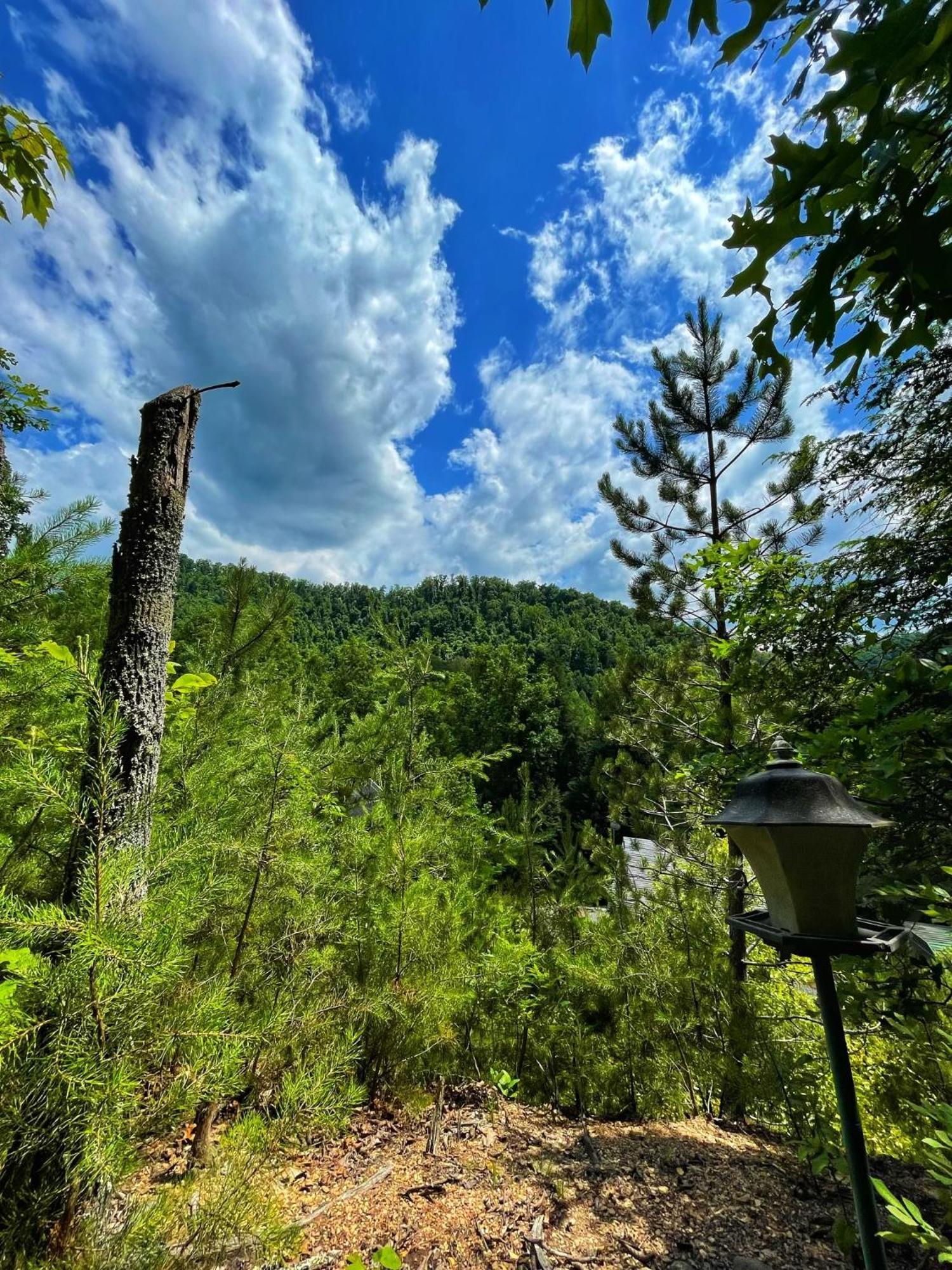 Tiny House, Wifi,Hot Tub,Secluded Villa Cosby Dış mekan fotoğraf